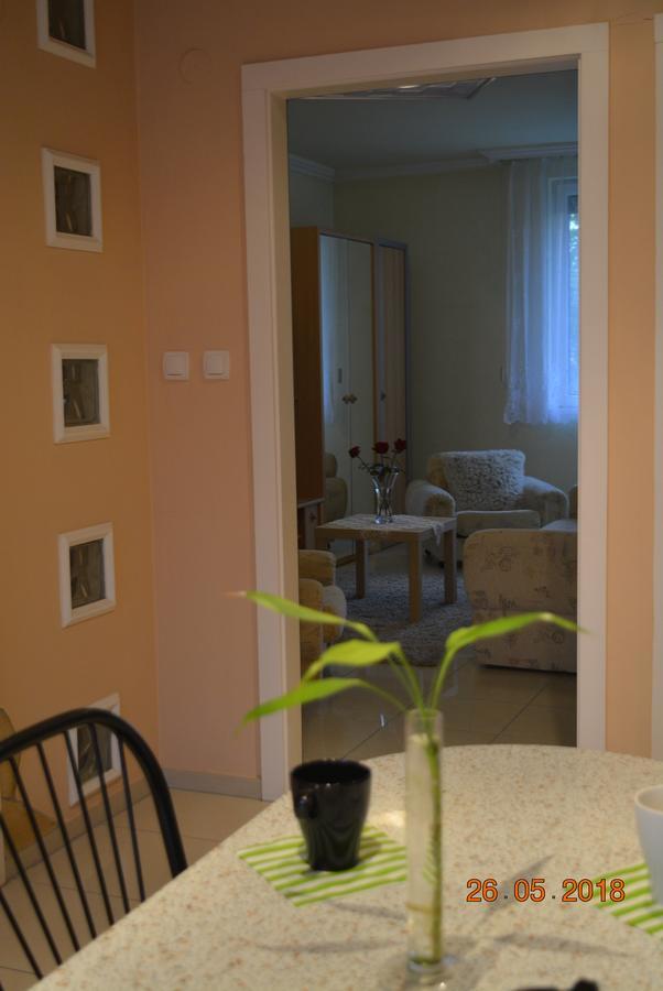Berettyóújfalu Berettyo Central Apartment מראה חיצוני תמונה